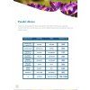 Ebook Stačí nás 10procent ukázka (4)
